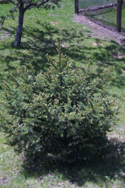 c0062603_13133937.jpg