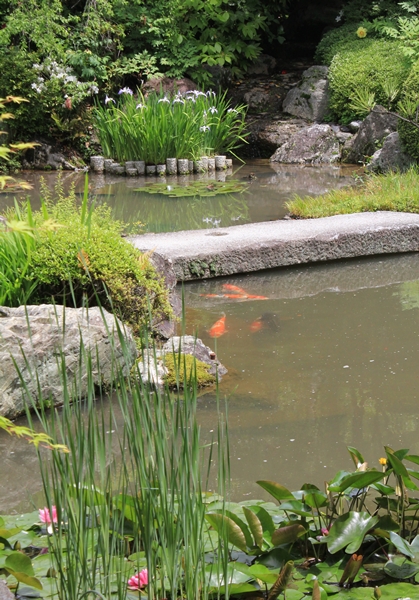 c0228404_6824.jpg