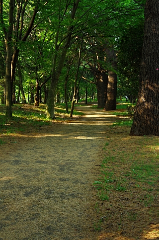 c0156908_1002236.jpg