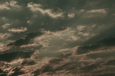 c0156908_959286.jpg