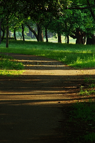 c0156908_9594714.jpg