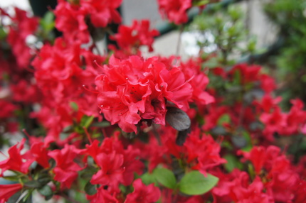 b0166909_1564561.jpg