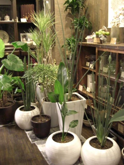 f0226713_20381795.jpg