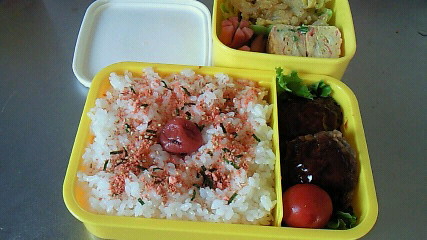 ハンバーグ弁当_d0125614_13341572.jpg