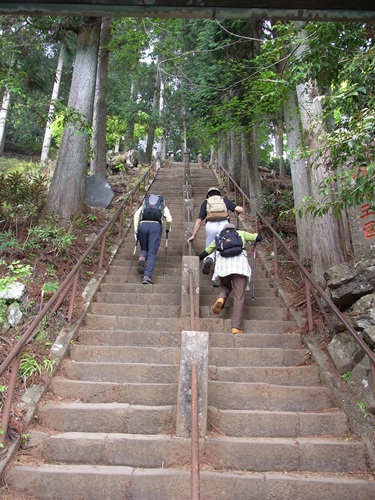 6月ハイキング部　大山下見_c0223117_21555057.jpg