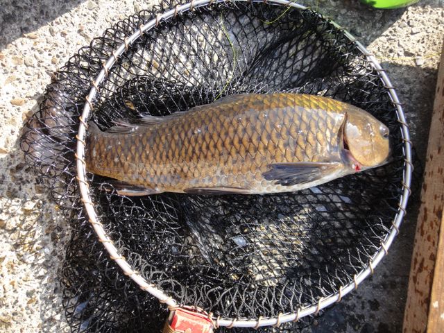 f0217617_1452323.jpg