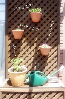 e0193822_7403010.jpg