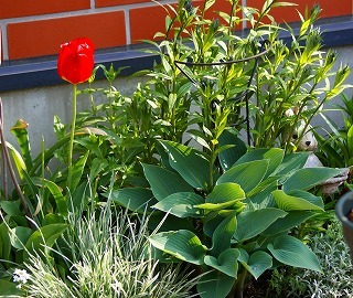 f0170524_2131472.jpg