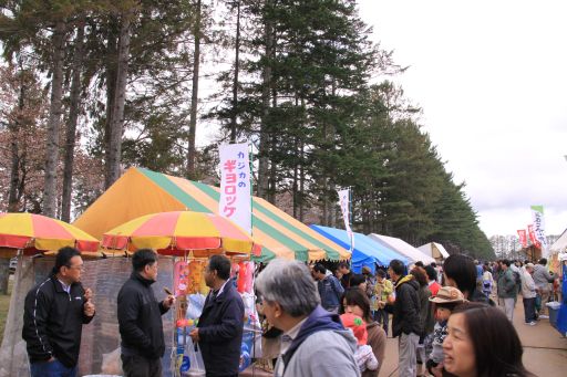 静内桜祭りのご当地グルメ やっぱり僕はカツカレー 静内桜祭りのご当地グルメ やっぱり僕はカツカレー
