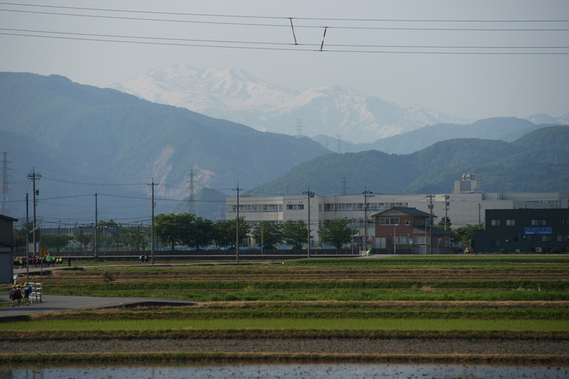 b0177233_5292642.jpg