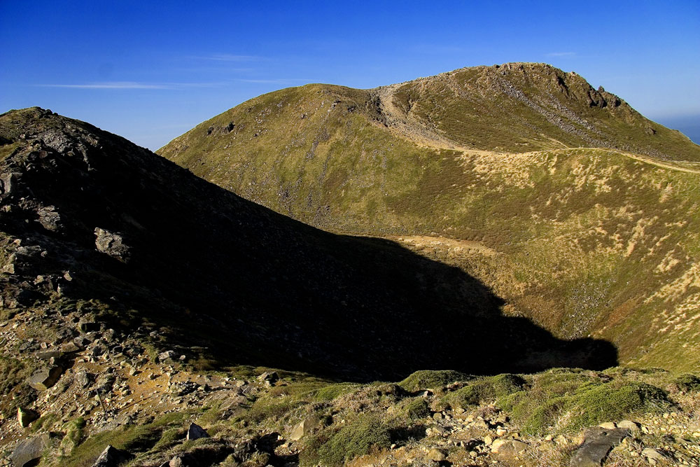d0136836_9171753.jpg