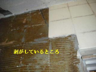 浴室リフォーム1日目_f0031037_21123365.jpg