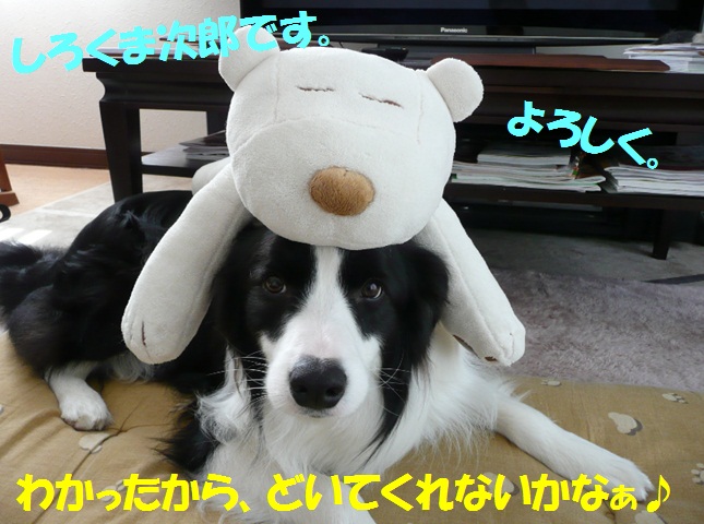 c0147241_21471791.jpg