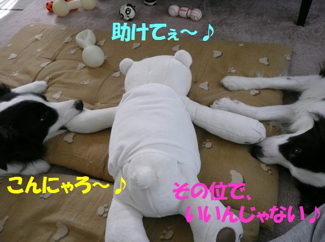 c0147241_21472373.jpg
