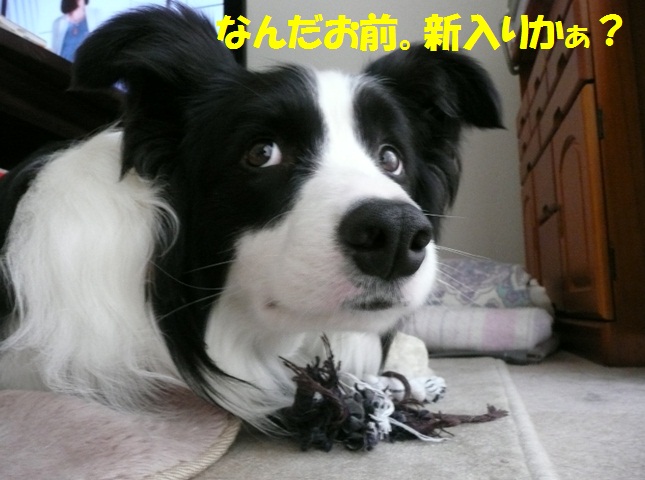 c0147241_21472820.jpg
