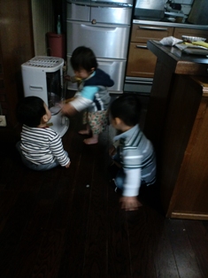 e0116341_0124579.jpg