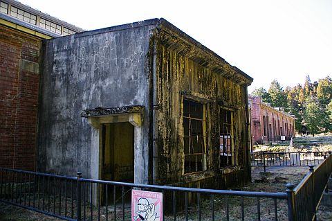 b0212342_99631.jpg