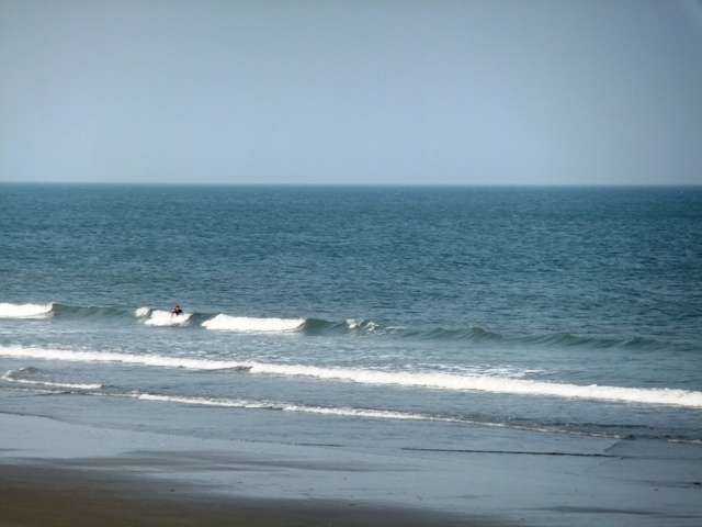 a0134746_16234680.jpg