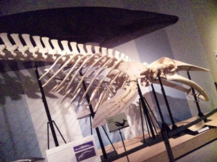 e0150250_149233.jpg