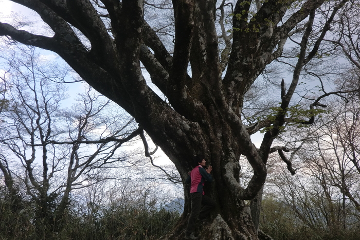 大座礼山_b0227552_22575113.jpg