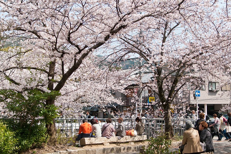 春の京都～その１(自宅周辺～哲学の道入り口)H23.4.10_e0209962_2332850.jpg