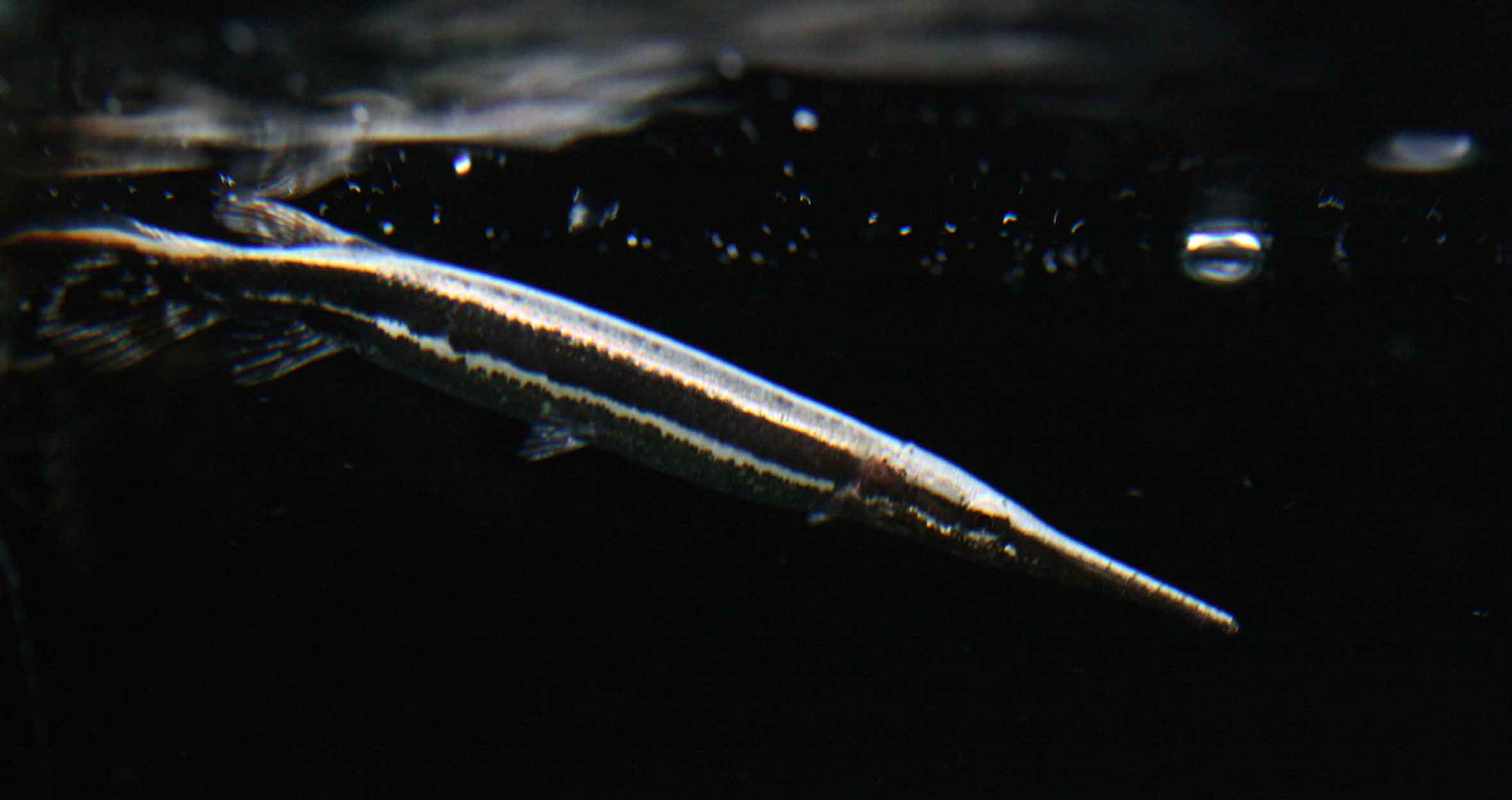 a0162263_20553699.jpg