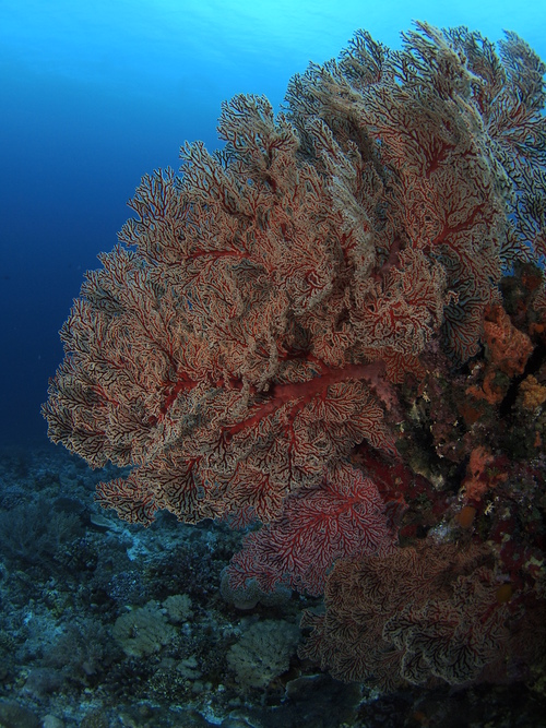 b0138768_823738.jpg