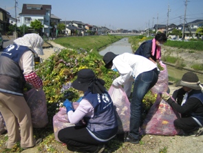 井畑花の道サークル・・・今日の作業_b0105374_831033.jpg