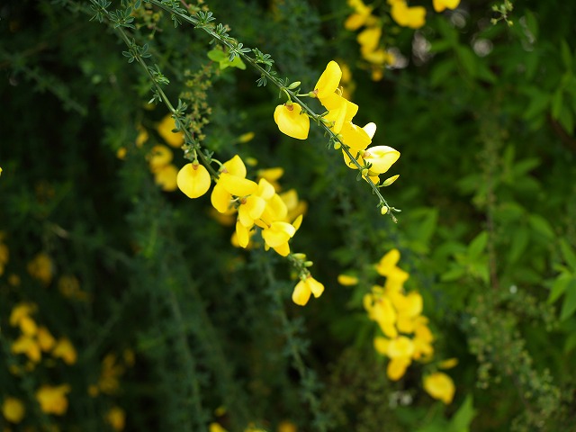 d0054276_19324919.jpg