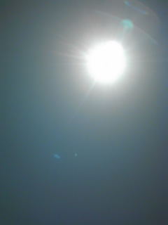 f0145976_112669.jpg