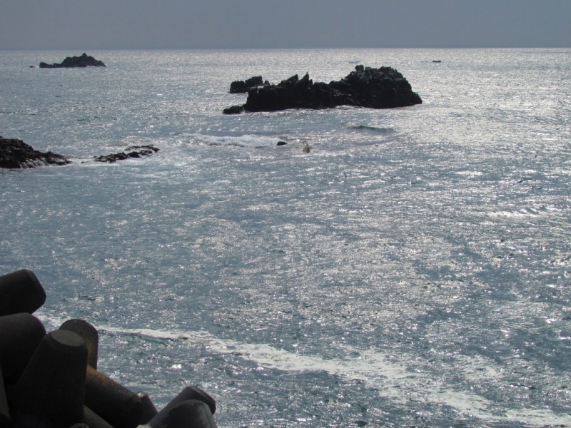 c0183777_79552.jpg