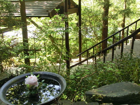 a0149478_22145781.jpg