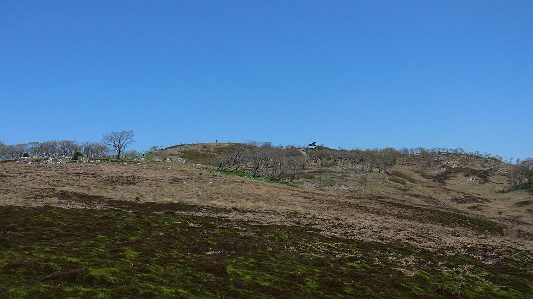 a0152692_19513751.jpg