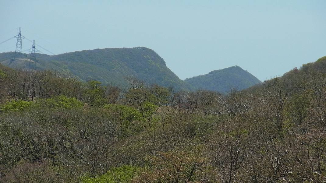 a0152692_19565084.jpg