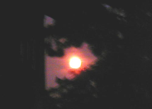 ●『夜間飛行』_d0053294_23504560.jpg