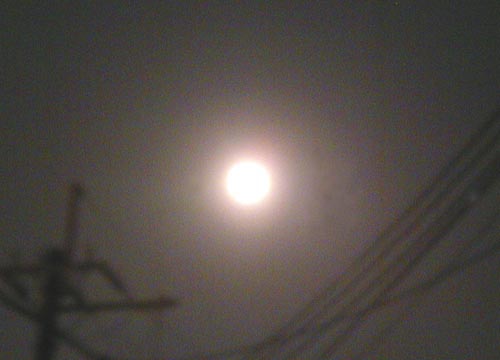 ●『夜間飛行』_d0053294_23511254.jpg