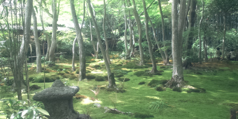 京都漫遊ヽ(｀○´)/嵐山とか！_b0136198_1421187.jpg