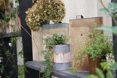 c0227800_62215.jpg