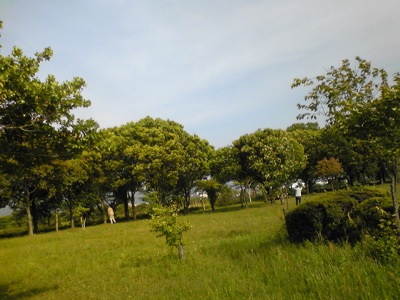 e0115301_2222641.jpg