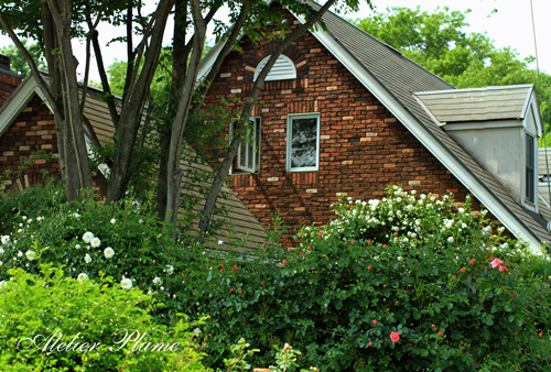 Le Jardin Secret~秘密の花園~_e0154202_1910271.jpg