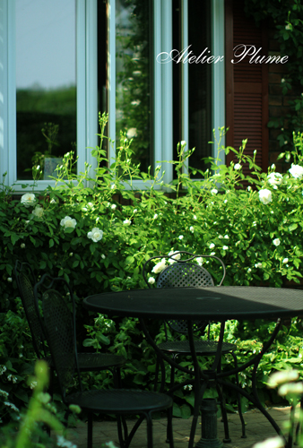 Le Jardin Secret~秘密の花園~_e0154202_1916271.jpg