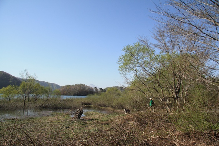 f0034602_18241663.jpg