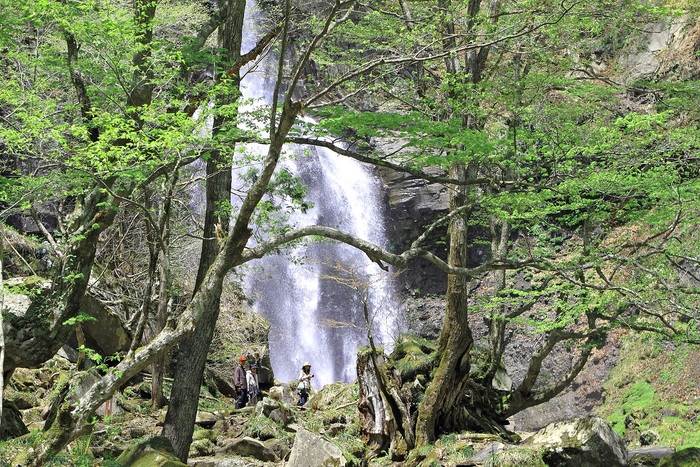 f0034602_18455574.jpg
