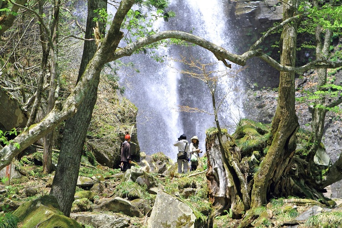 f0034602_18571028.jpg