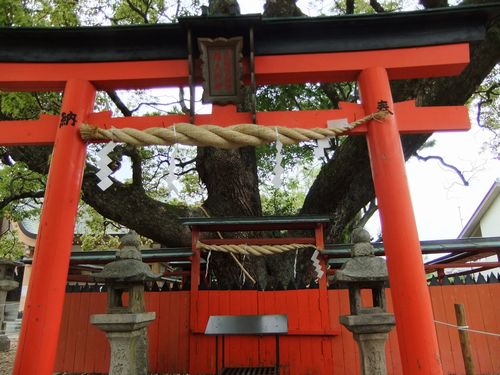 法隆寺の鎮守社「龍田神社」に参拝_f0120102_934457.jpg