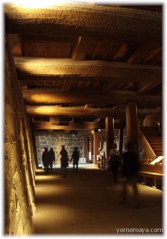 d0075206_22312.jpg