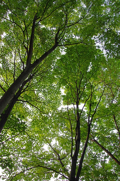 c0156908_836948.jpg