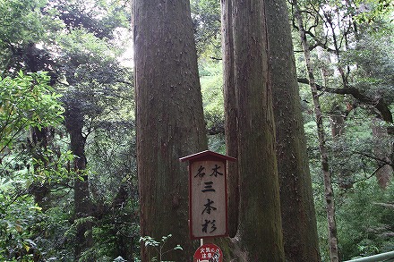 f0191413_1124631.jpg