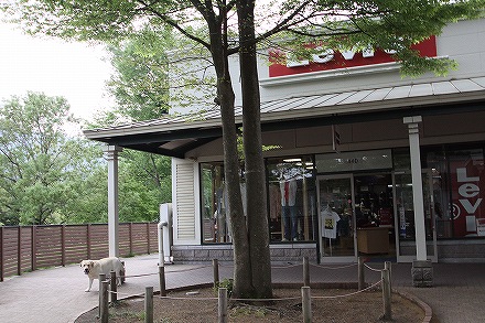 f0191413_1211697.jpg