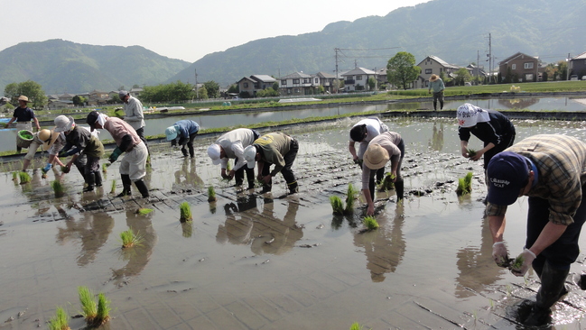 田植え初体験！_f0233414_23134232.jpg